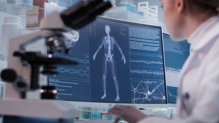 © iStock/yalax Wissenschaftlerin betrachtet digitales Körpermodell am Rechner