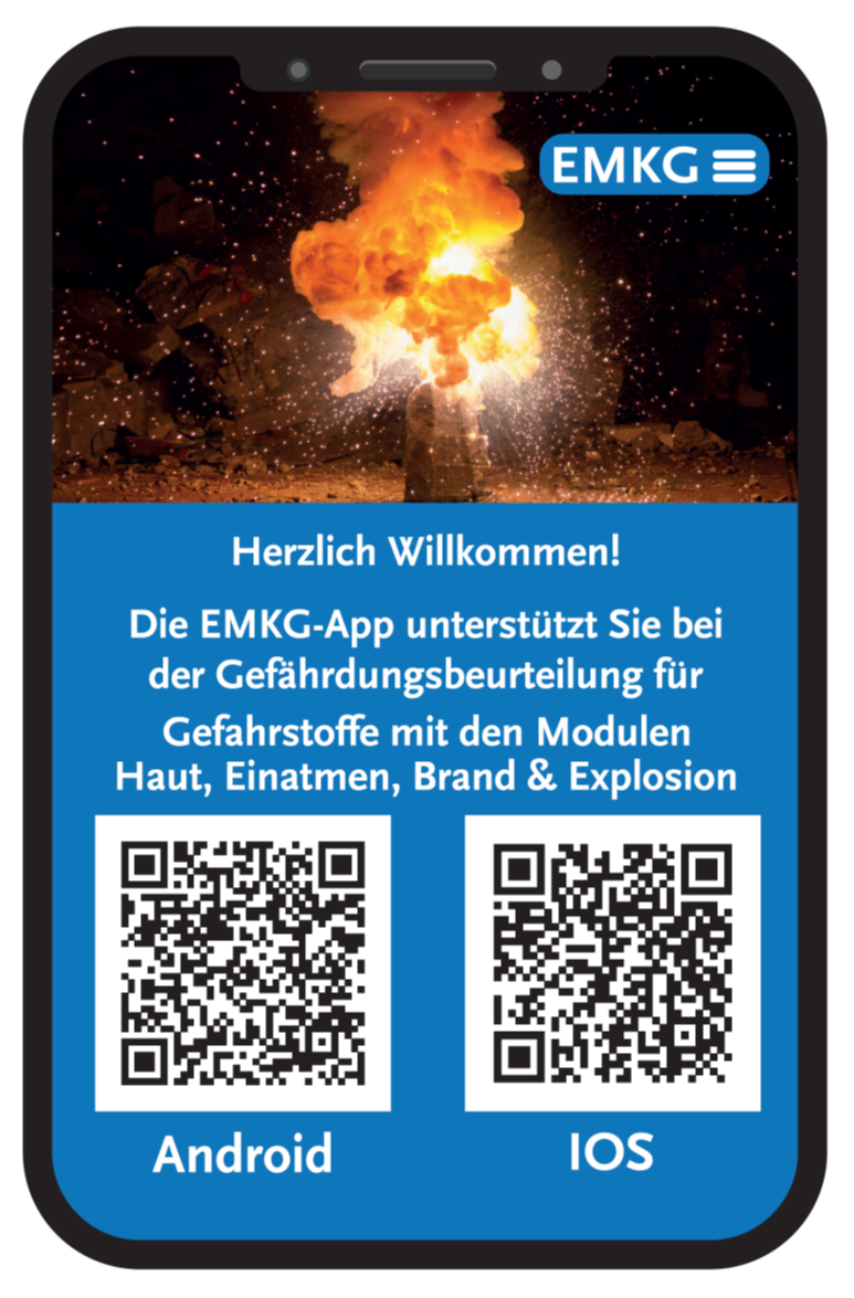Abbildung der EMKG-App